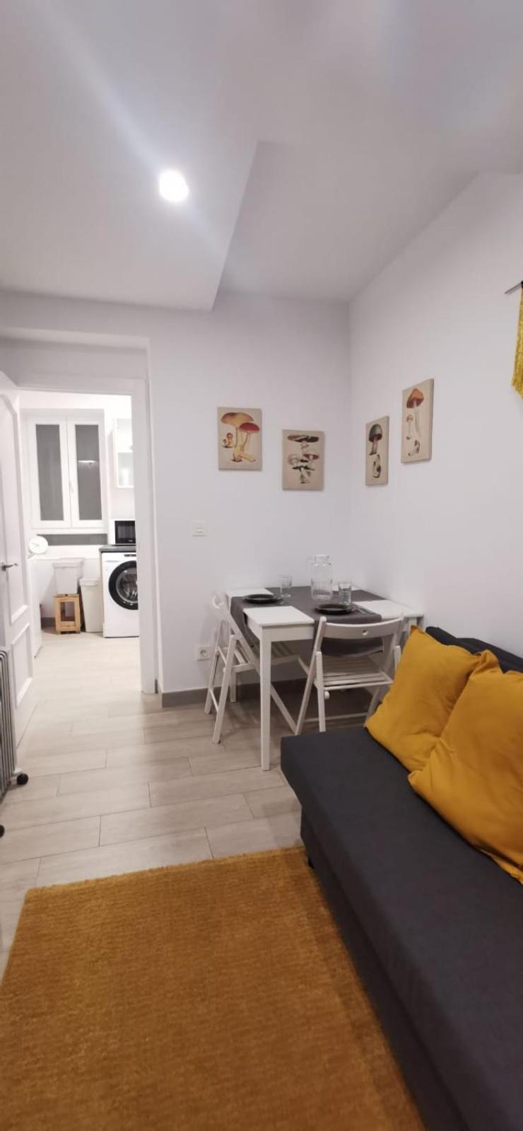 Casa Eguino Pet - Friendly Lägenhet San Sebastián Exteriör bild